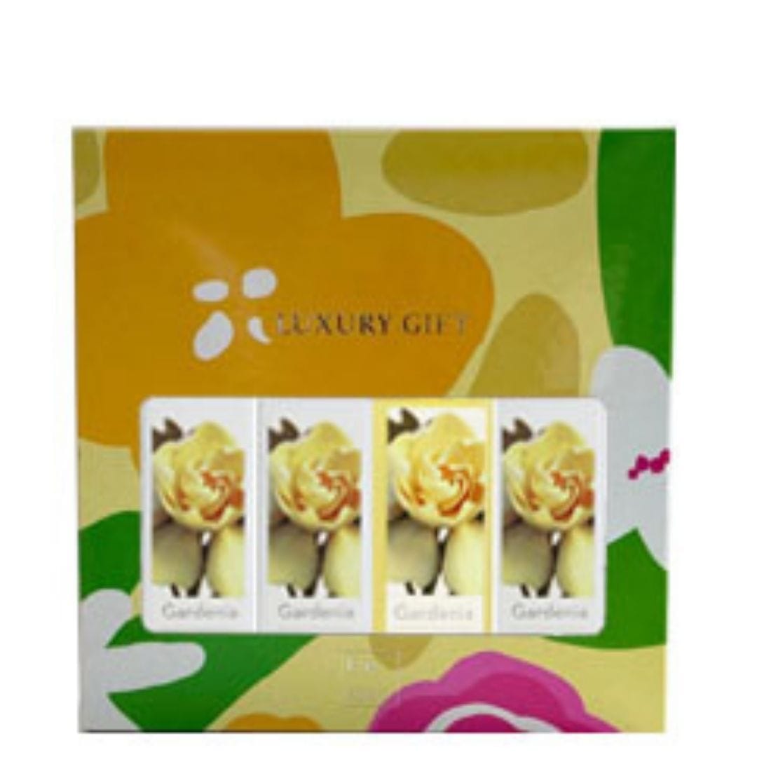estuche x4 (1) estuche x4 (1)